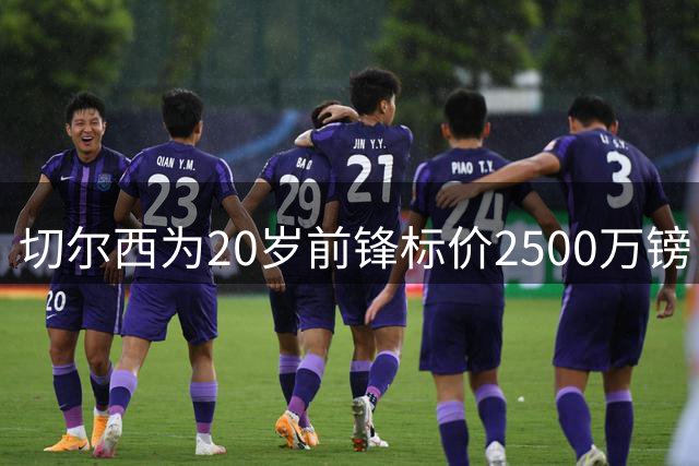 切尔西为20岁前锋标价2500万镑，引进时仅花600万