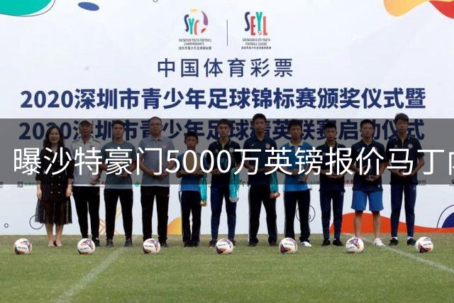 曝沙特豪门5000万英镑报价马丁内利 阿森纳愿放行