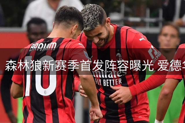 森林狼新赛季首发阵容曝光 爱德华兹领衔后场