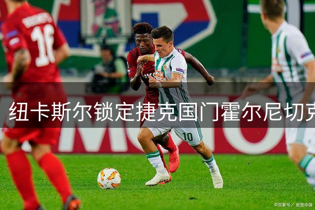 纽卡斯尔锁定捷克国门霍尔尼切克 3000万镑违约金成关键障碍
