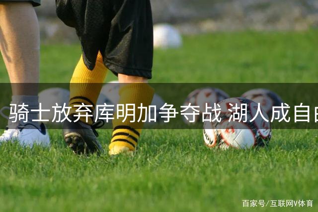 骑士放弃库明加争夺战 湖人成自由市场最大赢家