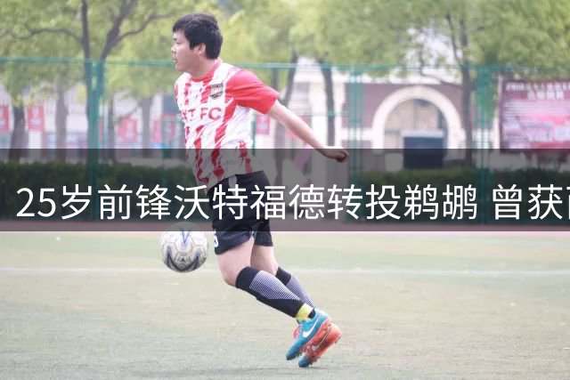 25岁前锋沃特福德转投鹈鹕 曾获西甲球队青睐